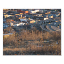 Ciervos y ciudad - impresión de la foto