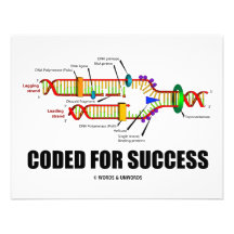 Cifrado para el éxito (réplica de la DNA) Comunicados Personales