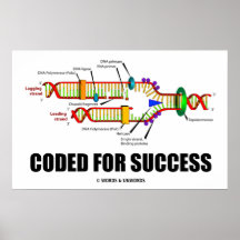Cifrado para el éxito (réplica de la DNA) Impresiones