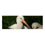 Cigüeña blanca tarjetas de visita