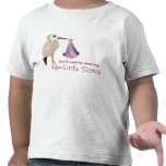 Cigüeña clásica (rosa) 2 (fiesta de bienvenida al  camiseta