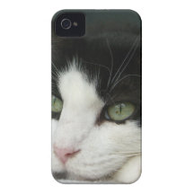 CIMG1013.JPG iPhone 4 Case-Mate COBERTURA