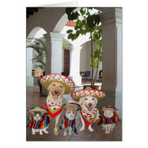 Cinco adaptable de Mayo Felicitacion