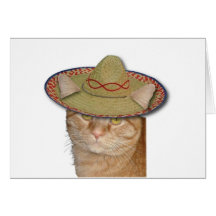 Cinco de Mayo Felicitacion