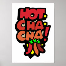 Cinco De Mayo Poster