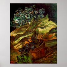 Cineraria en una maceta, Vincent van Gogh Poster