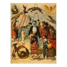 Circo canino - postal #1