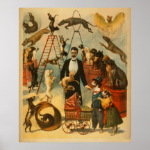 ¡Circo canino! - Poster #2 del teatro