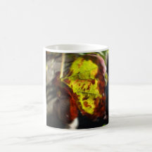 circulair leaf koffie bekers