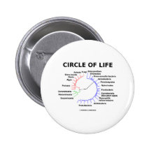 Círculo de la vida (árbol filogenético circular) pin