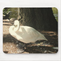 Cisne Alfombrilla De Raton