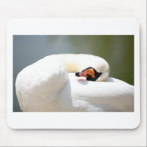 cisne alfombrillas de raton 
