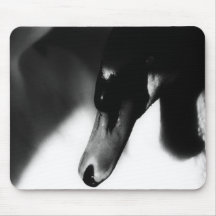 Cisne blanco de Mousemat, foto, personalizable Tapete De Ratón