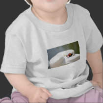cisne camisetas
