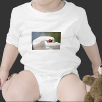 cisne camisetas