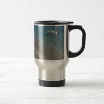 Cisne en agua de mar baja cristalina tazas