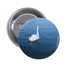 Cisne en el lago pin