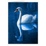 Cisne en el lago tarjeton