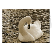 Cisne Felicitaciones