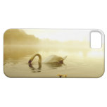 Cisne iPhone 5 Case-Mate Protectores