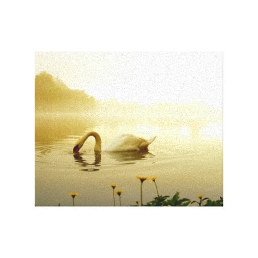 Cisne Lona Estirada Galerías
