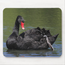 Cisne negro tapetes de ratones