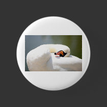 cisne botones