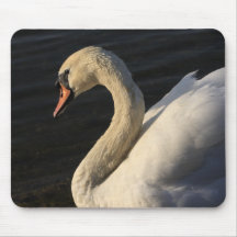 Cisne Tapetes De Ratones