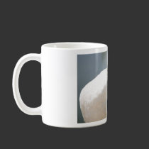 cisne tazas