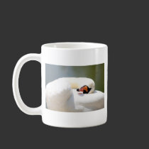 cisne tazas