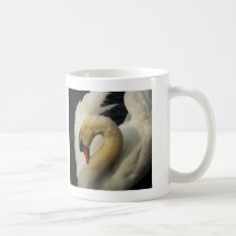 cisne tazas de café