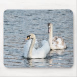 Cisnes Alfombrilla De Ratones