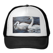Cisnes de tundra gorro