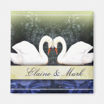 Cisnes elegantes en amor iman
