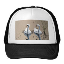Cisnes mudos gorros  
