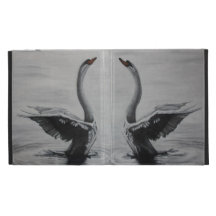 Cisnes (se fue y derecho)