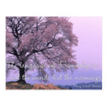 Cita 1 de la amistad - postales del árbol de la fl tarjetas postales