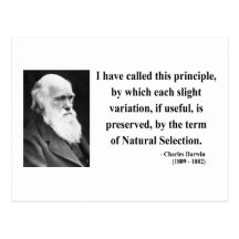 Cita 6b de Charles Darwin Tarjetas Postales