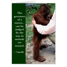 Cita de Gandhi:  Notecards animal Tarjeta