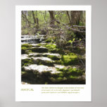 Cita inspirada de la fotografía de la naturaleza d poster