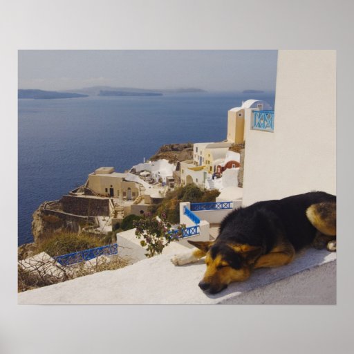 Ciudad de Grecia, isla de Santorini, Oia, el dormi Posters