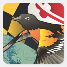 Ciudadano Oriole, pájaro del estado de Maryland Calcomania Cuadrada Personalizada