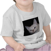 Clarence el gato bizco camisetas