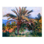 Claude Monet: Palmera en Bordighera Postales