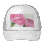 Claveles rosados 3 gorro de camionero