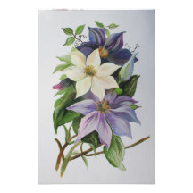 Clematis de la lila fotografias