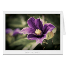 Clematis del despliegue felicitacion 