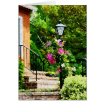 Clematis en el poste de la lámpara tarjeton