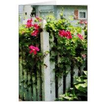Clematis en la cerca tarjetón