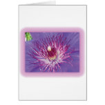 Clematis en la floración tarjeta